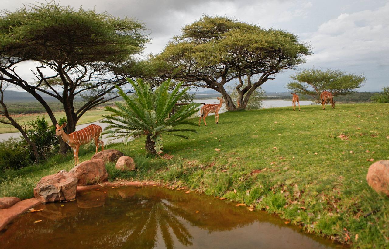 Nkwazi Lake Lodge Понгола Экстерьер фото